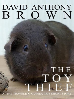 cover image of The Toy Thief